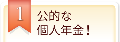 公的な個人年金！