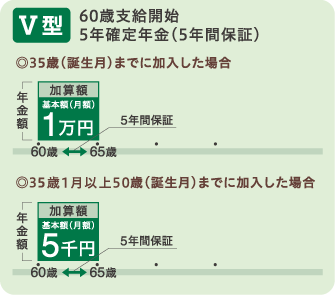 老齢年金2口目のⅤ型について