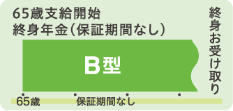 2口目の終身年金B型について